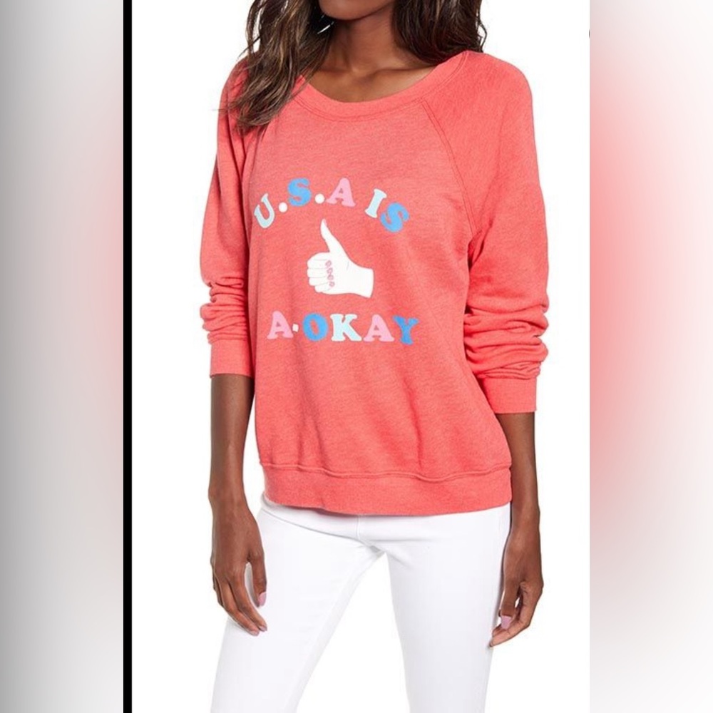 NWT Wildfox USA Sweatshirt